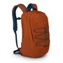 Рюкзак Osprey Axis на 18 л весом 0,66 кг Оранжевый