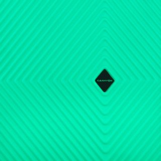 CarryOn Connect (S) Green 32 л валіза з полікарбонату на 4 колесах зелена