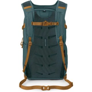 Городской рюкзак Osprey Daylite Plus – 20 л, 0,59 кг Зеленый