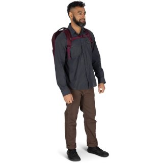Городской рюкзак Osprey Ozone Laptop – 28 л, 0,75 кг Бордовый