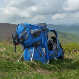 Рюкзак для переноски детей Ferrino Wombat 30 Blue
