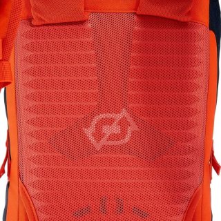 Спортивный рюкзак FORCLAZ 30 AIR Quechua Черный