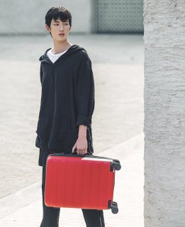 Средний чемодан Xiaomi Ninetygo Business Travel на 65 л из поликарбоната Розовый