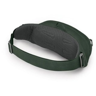 Сумка на пояс Osprey Daylite Зеленая