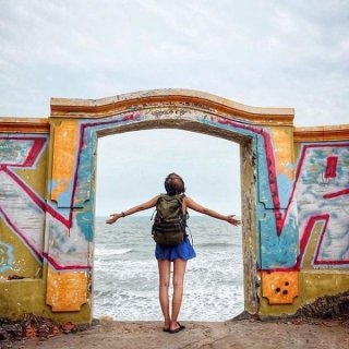 Сумка-рюкзак CabinZero Military 44L Military Green