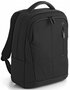 Бизнес рюкзак с отделением для ноутбука 15.6&quot; Roncato Overline, черный