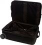 Мала валіза на 2-х колесах 30 л Victorinox Travel Werks Professional, чорний
