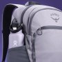 Городской рюкзак Osprey Axis – 24 л Серый