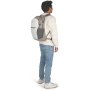 Городской рюкзак Osprey Daylite Plus – 20 л, 0,59 кг Бежевый