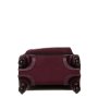 Kipling DARCEY 30 л чемодан из нейлона на 4 колесах фиолетовый