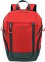 Городской рюкзак 14 л Travelite Basics Ryan-Air Red